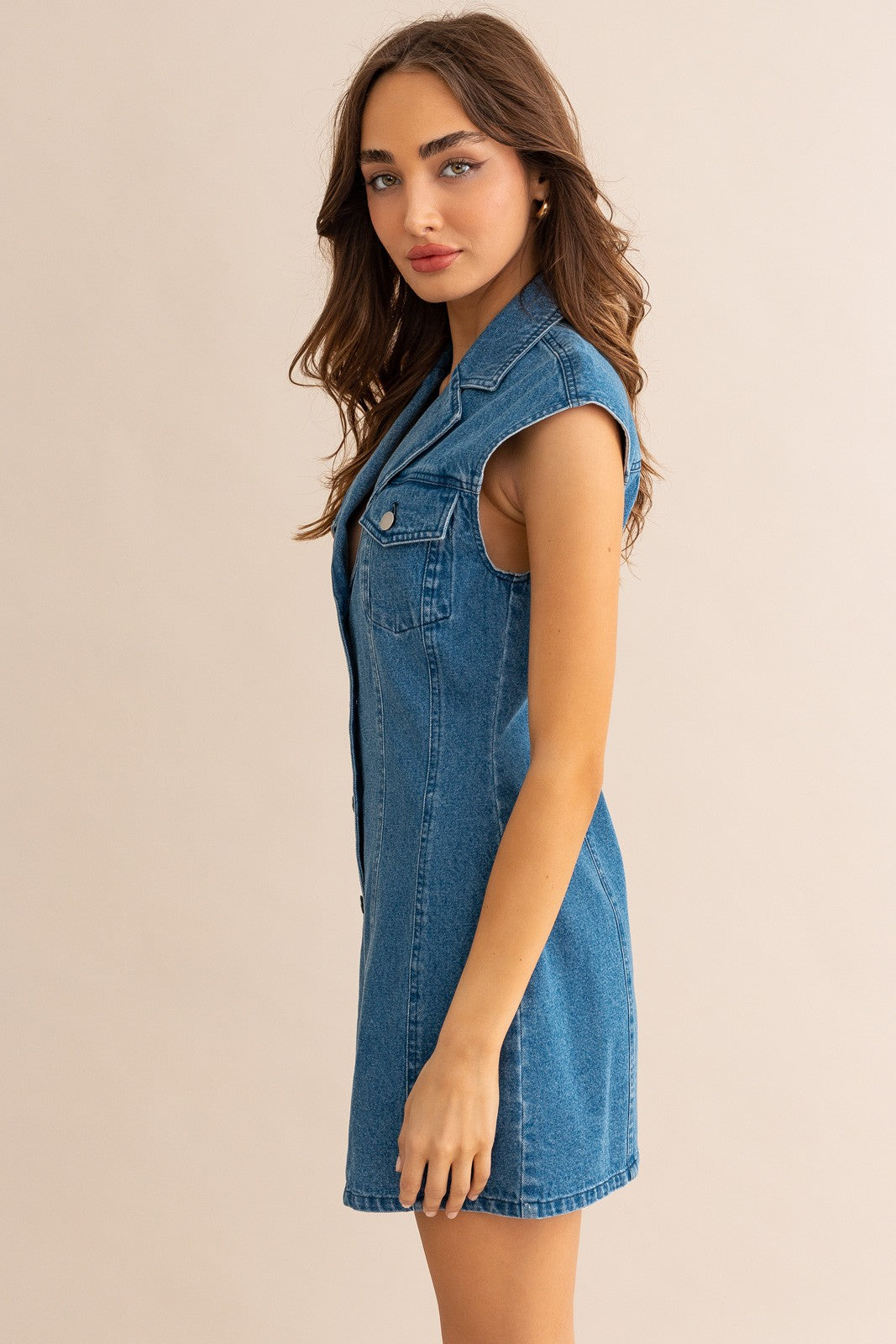 Cambria Collared Sleeveless Denim Dress