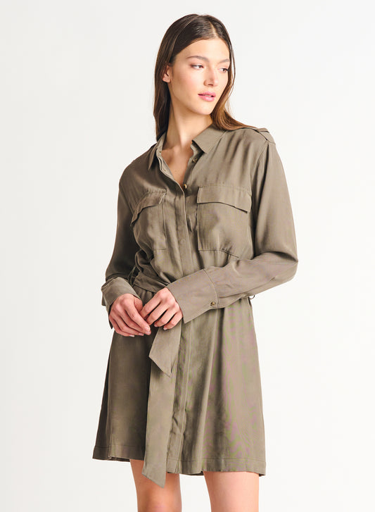 Dex Emerson Tencel Utility Dress