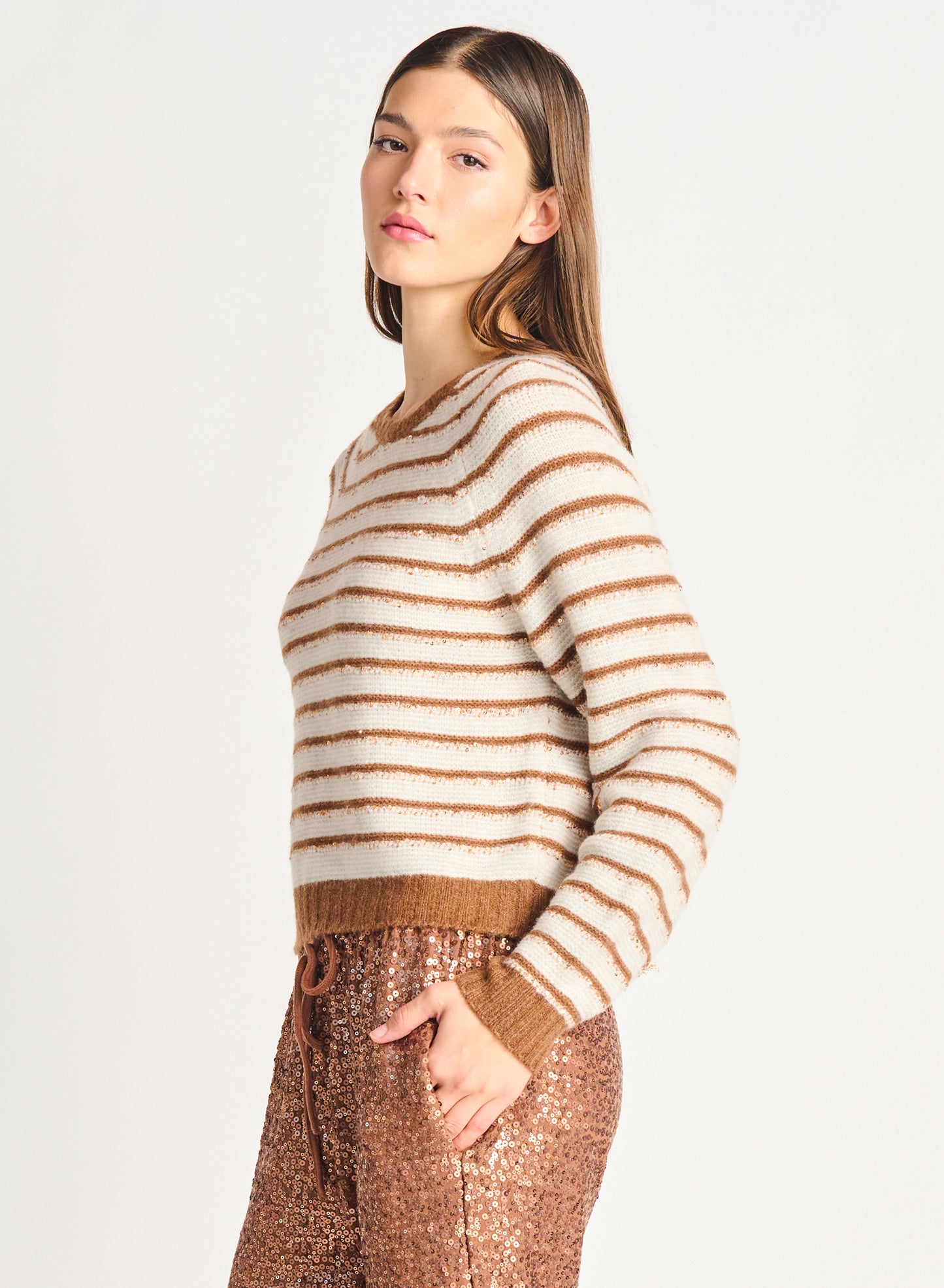 Dex Striped Sequin Sweater