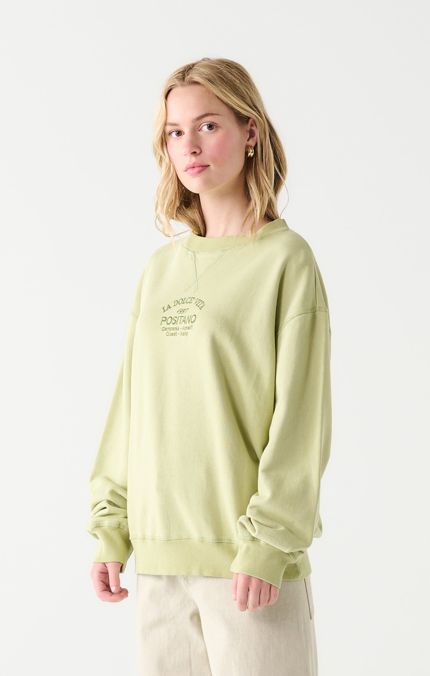 Dex Embroidered Positano Italy Sweatshirt