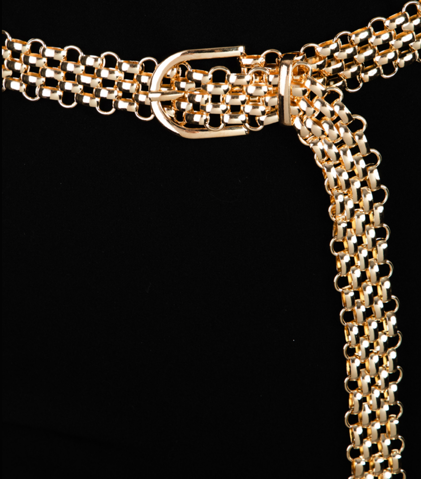 Metallic Circle Chain Link Belt Libby Story