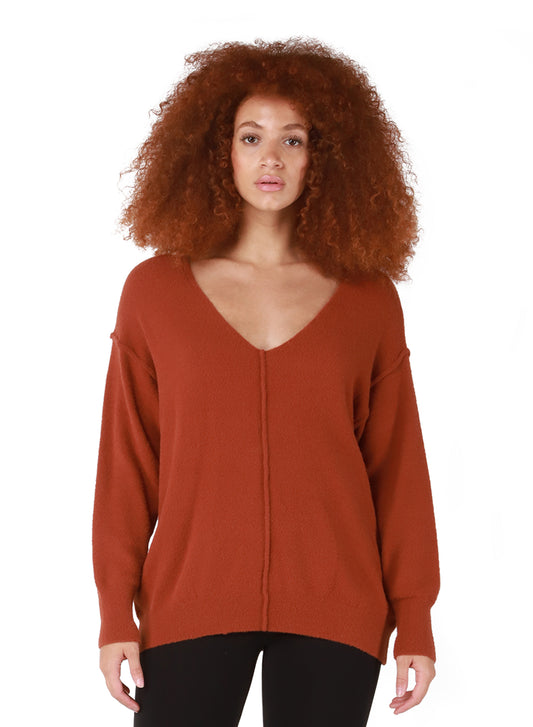 Dex Exposed Seams V-Neck Sweater